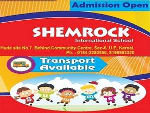 Shemrock International Play School